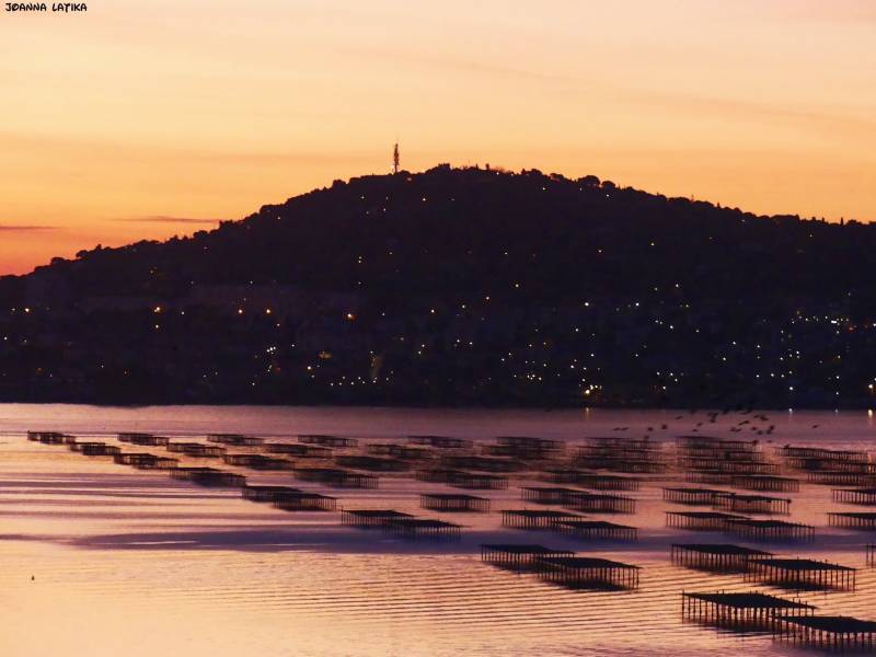 Louer un bateau sur l'étang de Thau avec Jlc  location à Sète 